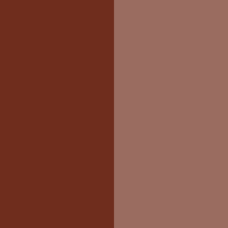 Brown Iron Oxide- medium brown shade