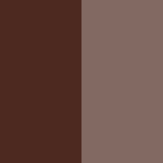 Brown Iron Oxide- umber shade